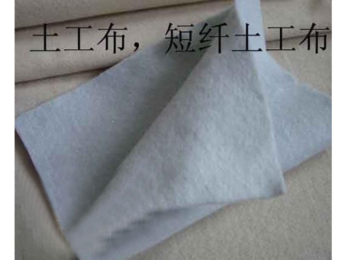 香蕉视频下载安装